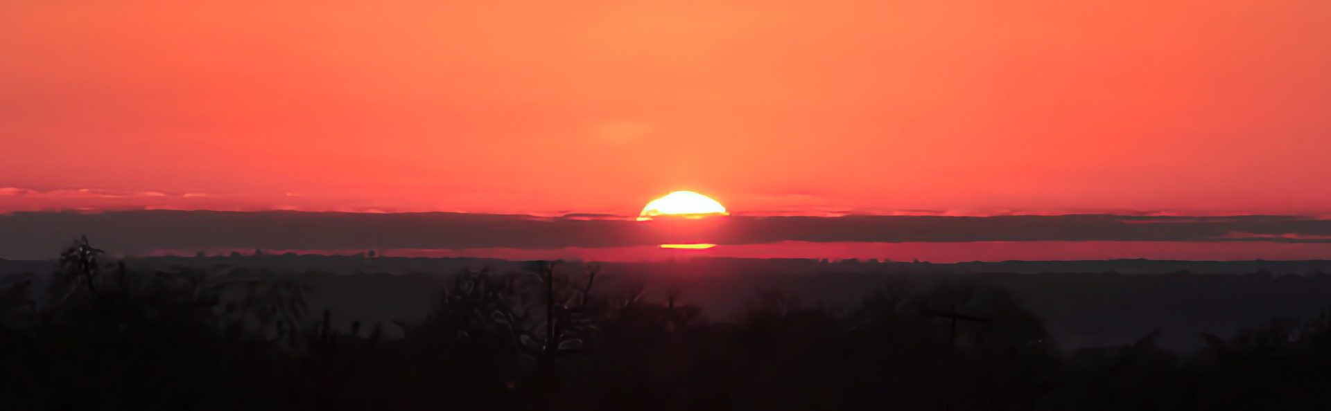 Sunset Large