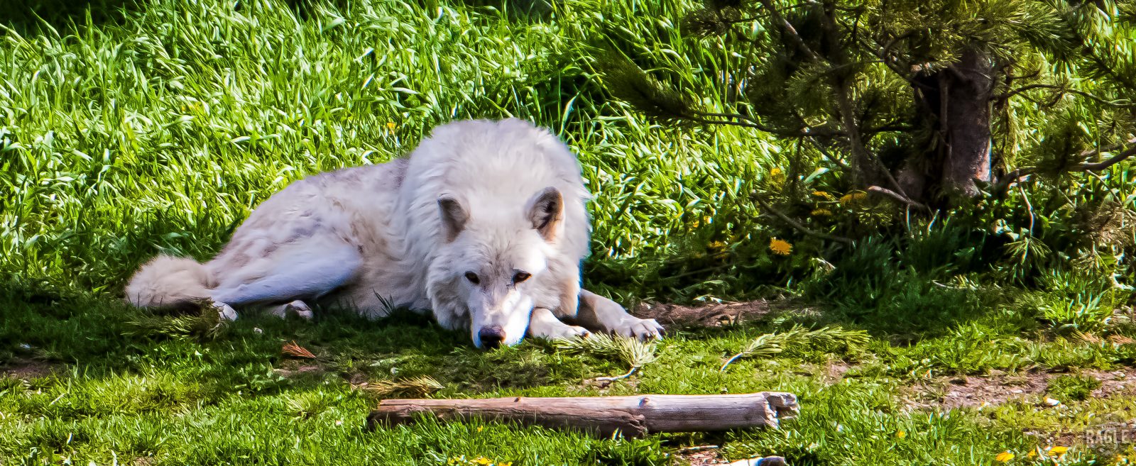 Photo 5055